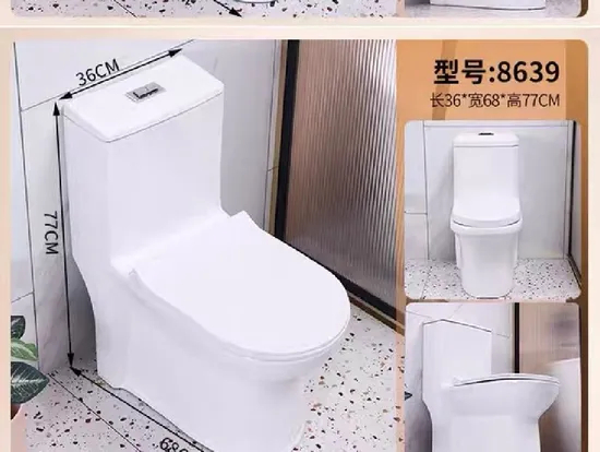 One Piece Toilet Ceramic Water Closet Bathroom Toilet