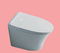 Smart Floor Mounted Ceramic Siphonic One Piece Electronic with Remote Control