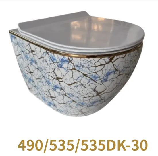 Sanitary Ware Water Toilet Soft Seat Wall Hung Luxury Toilet