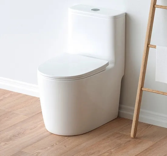 Cheap Price Siphonic Toilet Bowl Water Closet with Toilet Seat Cover