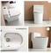 Ceramic Patent Design Sanitary Ware Floor Mounted One Piece Toilet