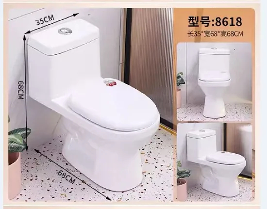 CE China Wholesale Hot Selling Sanitary Ware One-Piece Toilet