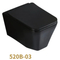 Wall-Hung Ceramic Water Closet Wall Mounted Toilet