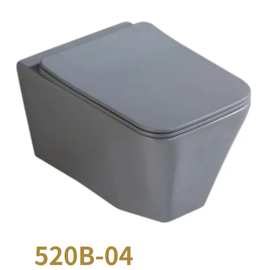 Sanitary Ware Wall Hung Toilet Flushing Intelligent Toilet with Conceal Tank