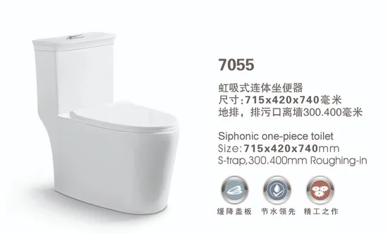 Popular Style Floor Mounted Bathroom Ceramic Closestool Siphonic One Piece Toilet