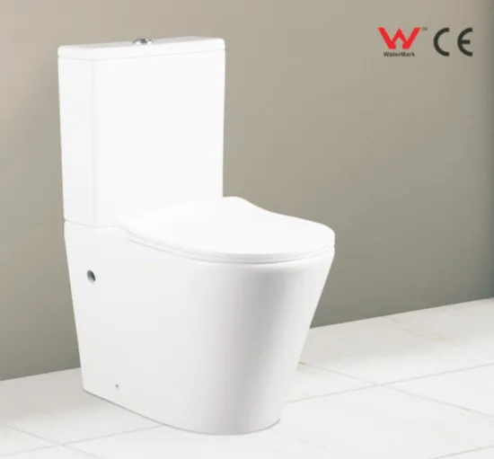 Sanitary Ware Wall Faced Watermark Toilet with Cover Seat