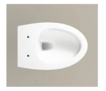High Standard Hotel Bathroom Smart Sanitary Ware Water Closet Ceramic Toilet