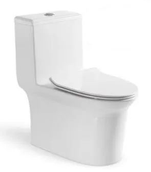Popular Designs Home Bathroom Closestool White White One Piece Ceramic Toilet