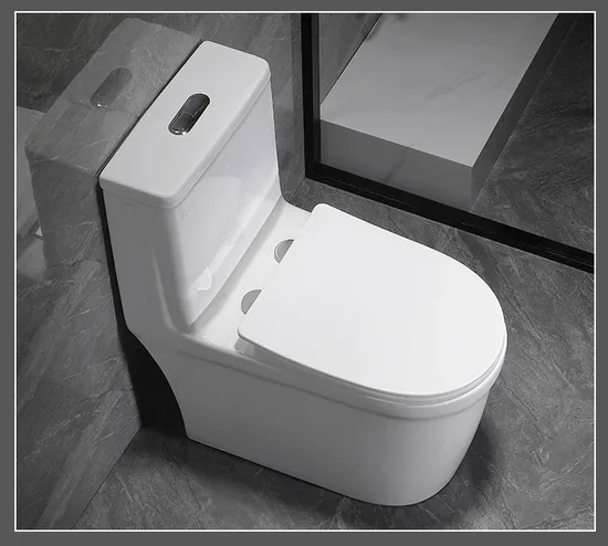 Chinese Modern Cheap Price Hotel White One Piece Siphonic Toilet Bowl