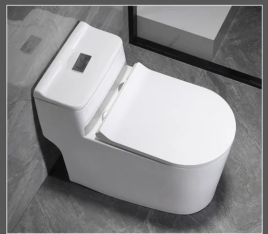 Wholesale Dual Flush Washdown One Piece Toilet Water Closet for Sale