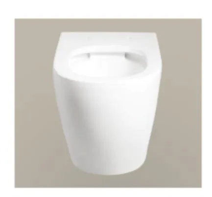 Wall Hung Toilet Wall Mount Hotel Toilet for Bathroom