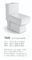 S-Trap Water Saving One Piece Toilet with Slow Down Seat Cover