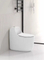 Nice Design Sanitary Ware Ceramic One Piece Toilet with Colored Line