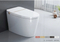 High Quality Auto Washing Latest Design Eco-Friendly Electronic Smart Toilet