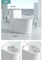 Sanitary Ware Mounted Bowl Rimless Matt White Ceramic Toilet Water Closet