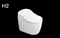 Flushing Oval Shape Porcelain Ceramic Bathroom One Piece Wc Toilet