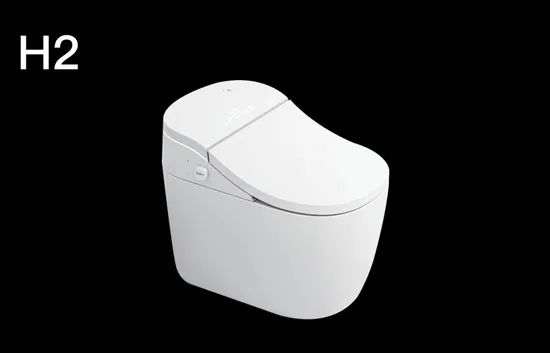 Flushing Oval Shape Porcelain Ceramic Bathroom One Piece Wc Toilet