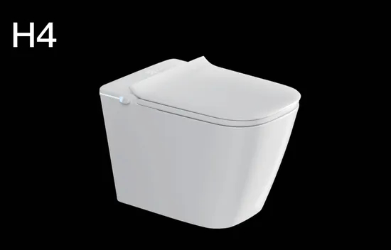 Wc Wall Mounted Toilet Ceramic Toilet Siphonic Flushing