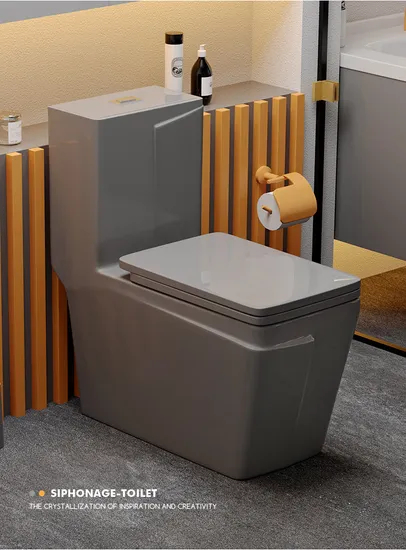 Guangdong Factory Bathroom Inodoros Wholesale One Piece Toilet Bowl