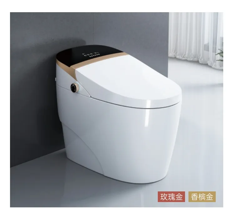 Electronic One Piece Smart Toilet