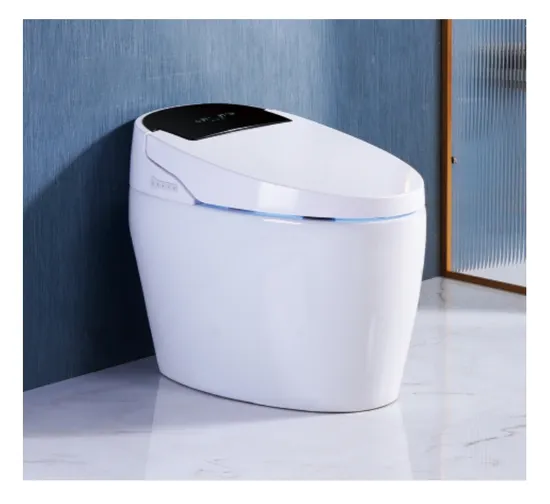 Automatic Sanitary Ware Items Ceramic Toilet Bowl Smart Toilet