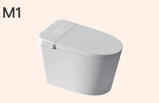 Bejoan Floor Standing Ceramic Automatic Inductive Smart Toilet