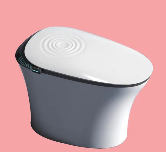Bejoan Floor Standing Ceramic Automatic Inductive Smart Toilet