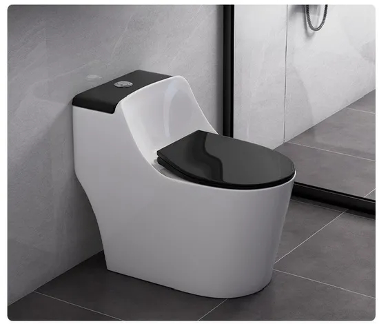 Modern Rimless Flushing System Toilet Ceramic One Piece Water Closet