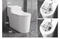High Standards Toilet Cheap Siphonic S-Trap One Piece Toilet