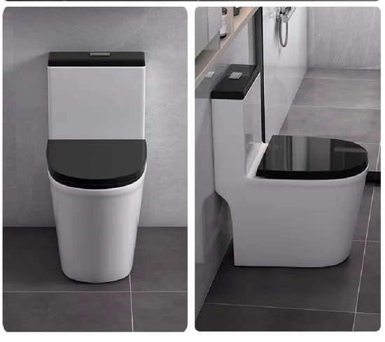 Sanitary Fixtures Water-Efficient Comfortable Seating Ceramica One Piece Toilets
