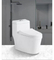 Bathroom Ceramic One-Piece Toilet Bowl