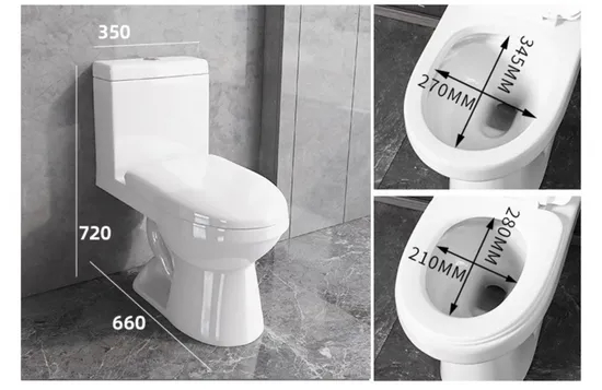 Luxury Ceramic Sanitary Ware Bathroom Siphon Floor Mounted Toilet