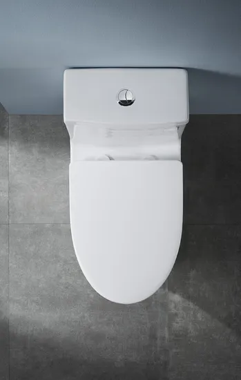 Chinese Modern Cheap Price One Piece Siphonic Washdown Toilet Bowl