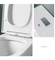 One Piece Siphonic Washdown Wc Bathroom Commode Toilet Bowl