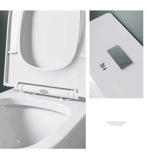 One Piece Siphonic Washdown Wc Bathroom Commode Toilet Bowl