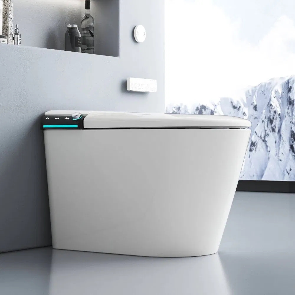 Sanitary Ware One Piece Ceramic Floor Mounted Smart Toilet