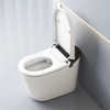 Sanitary Ware Automatic Smart Water Closet Toilet