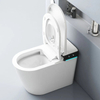 Sanitary Ware One Piece Ceramic Smart Toilet