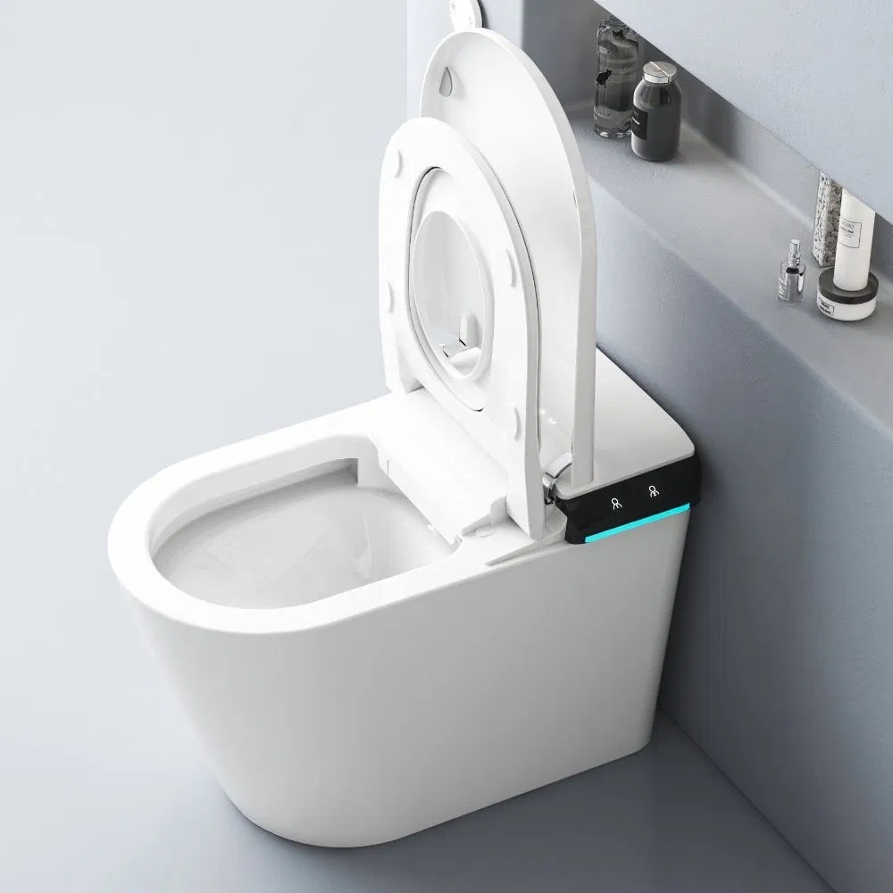 Sanitary Ware One Piece Ceramic Smart Toilet