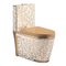 Modern Sanitary Ware Ceramic Toilet Set One Piece Toilet