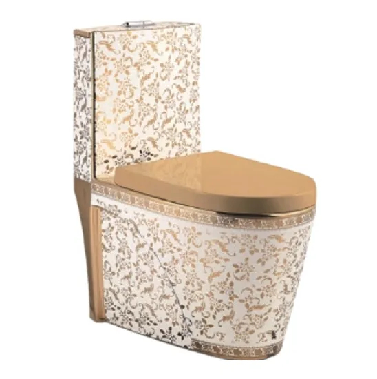 Modern Sanitary Ware Ceramic Toilet Set One Piece Toilet