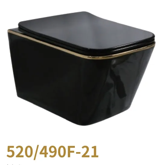 Wall Mounted Toilet with Seat Cover