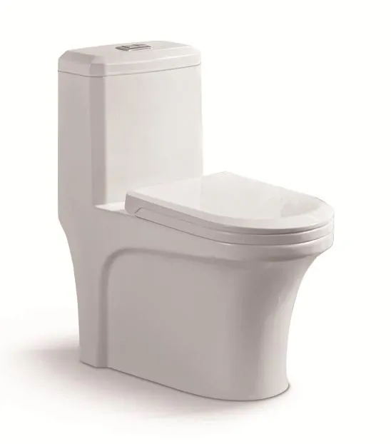 Sanitary Ware Bathroom Matte Water Closet Poecelain Matte One Piece Toilet