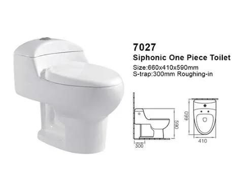 Washdown Flush American Style Wc Water Ceramic Bathroom One Piece Toilet