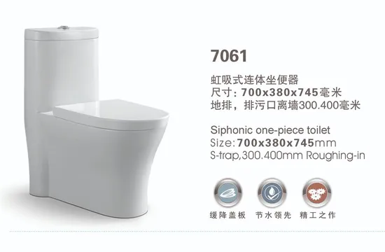 Good Quality Nice Design Sipohnic Flushing Toilet Bowl