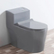 Lavatory Vitreous China High Efficiency One-Piece Elongated Siphonic Toilet with Dual-Flush