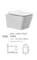 Sanitary Ware Toilet, Wall-Mounted Closestool, Wall-Hung Toilet