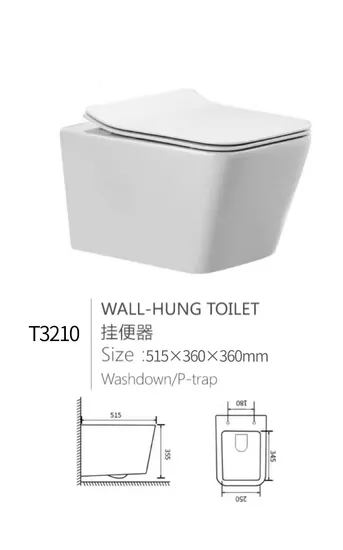 Sanitary Ware Toilet, Wall-Mounted Closestool, Wall-Hung Toilet