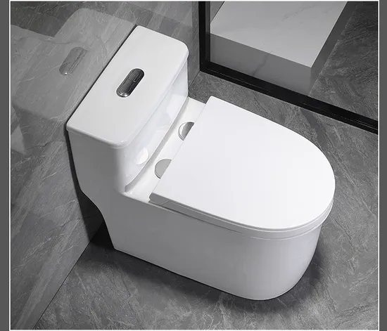 One Piece Toilet with Comfort Chair Seat Power Dual Flush