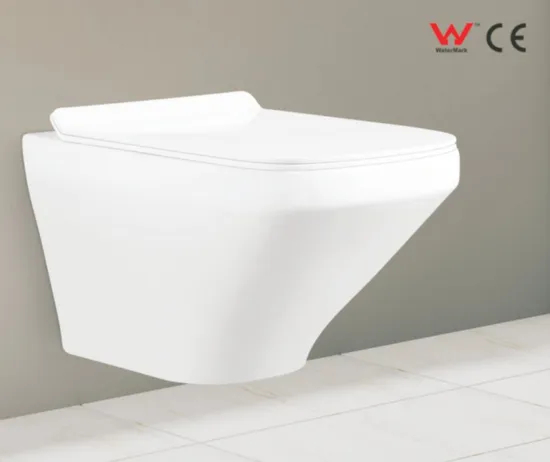 Chinese Wholesale Watermark Latest Design Wc Wall Hung Toilet with Bidet
